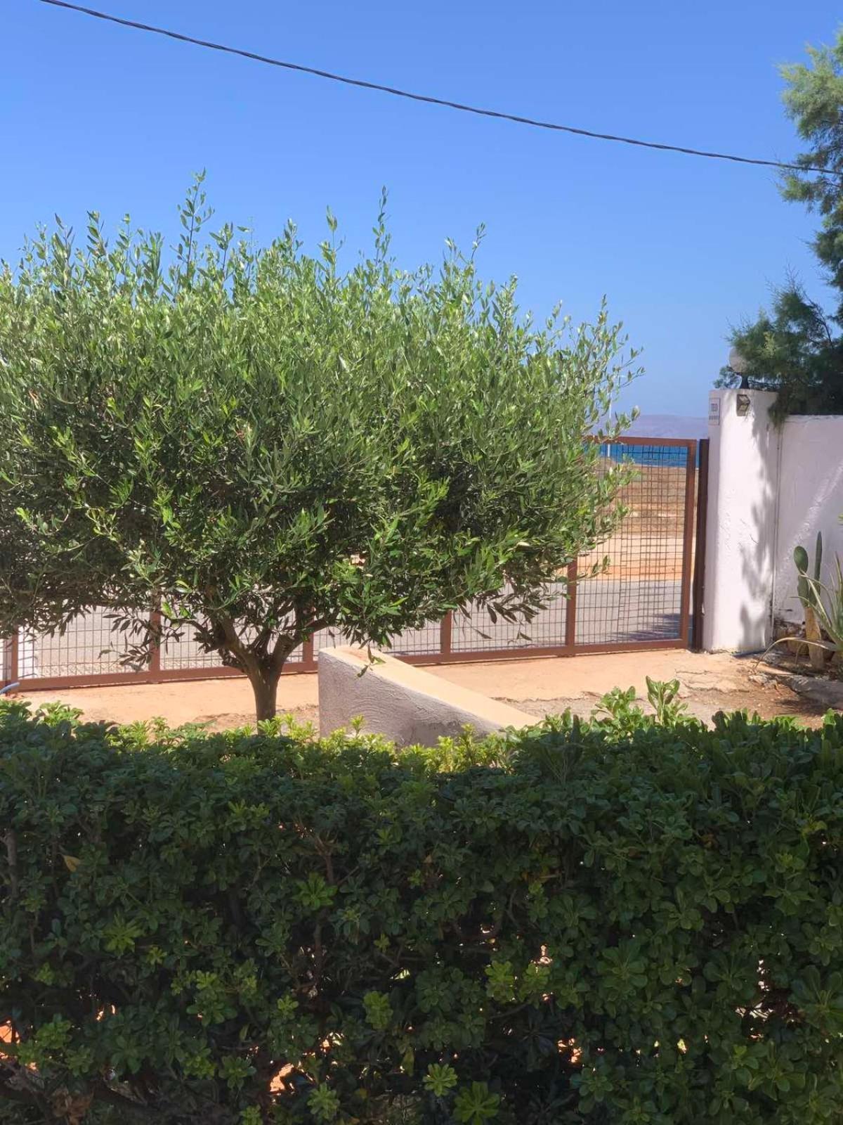 Apartament Teo 3 Guwes Zewnętrze zdjęcie