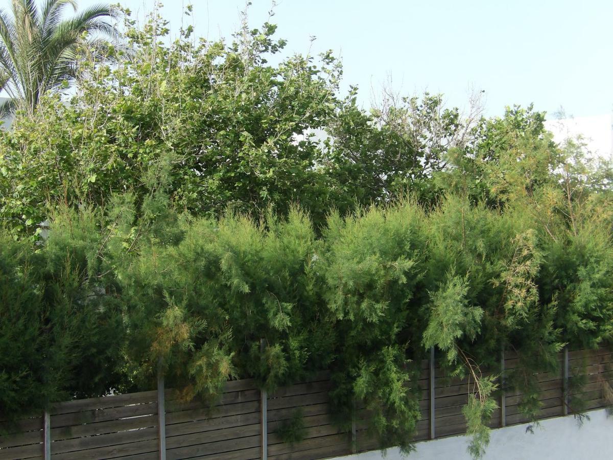 Apartament Teo 3 Guwes Zewnętrze zdjęcie
